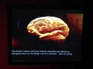 Melb Museum - drugs 1