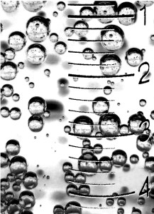 Neg Bubbles w Syringe - New