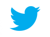 twitter-bird-1-380x285